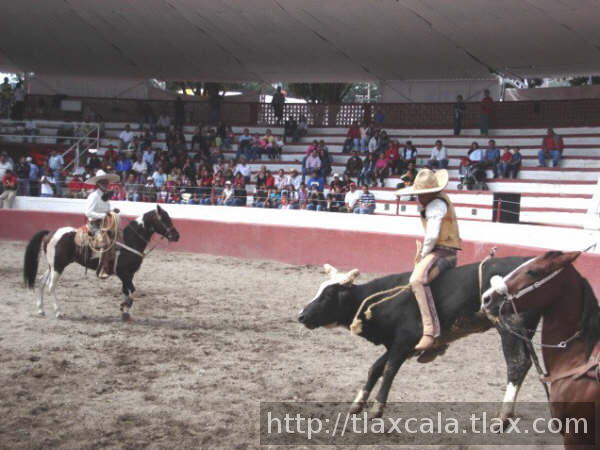 Jineteo de moises miranda