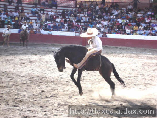 Marco ortiz