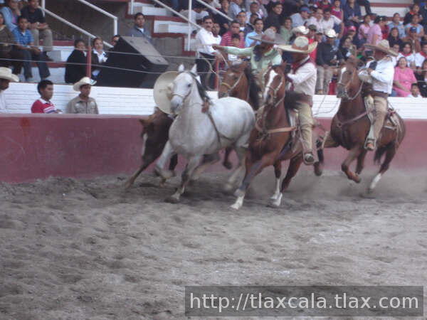 Paso felipe