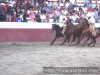 Paso julian carrasco