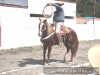 Pial rancho los angeles