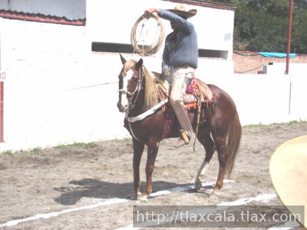 Pial rancho los angeles
