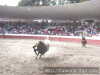 Rodrigo aguilar jineteando