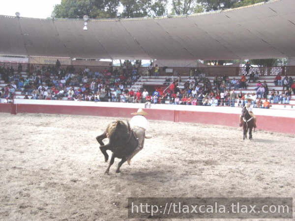 Rodrigo aguilar jineteando