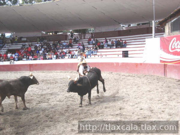 Rodrigo aguilar para abajo