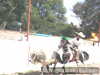 Carlos maurer coleando