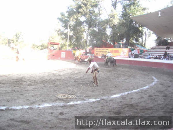 Damian  apie