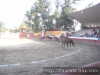 Damian a caballo
