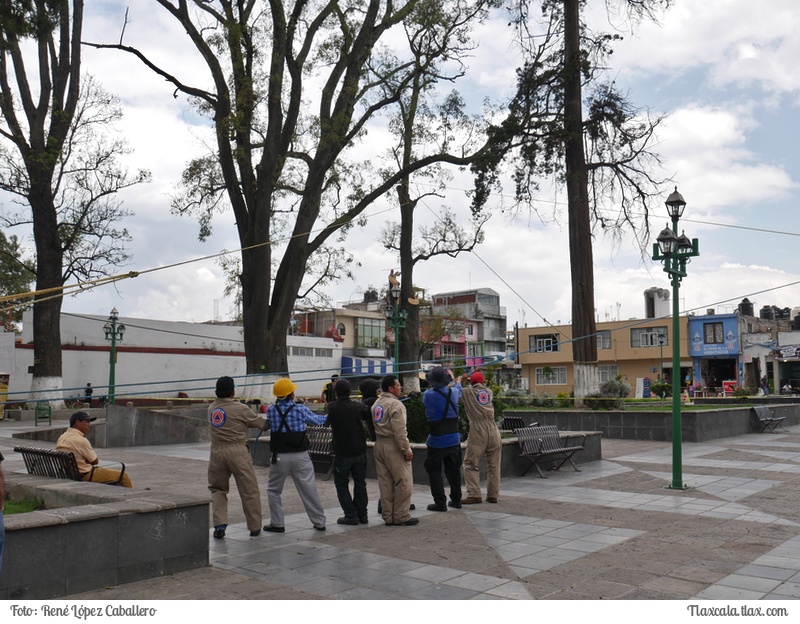 Cortando un arbol en Santa Ana - Foto