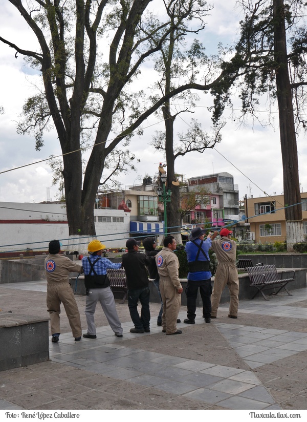 Cortando un arbol en Santa Ana - Foto