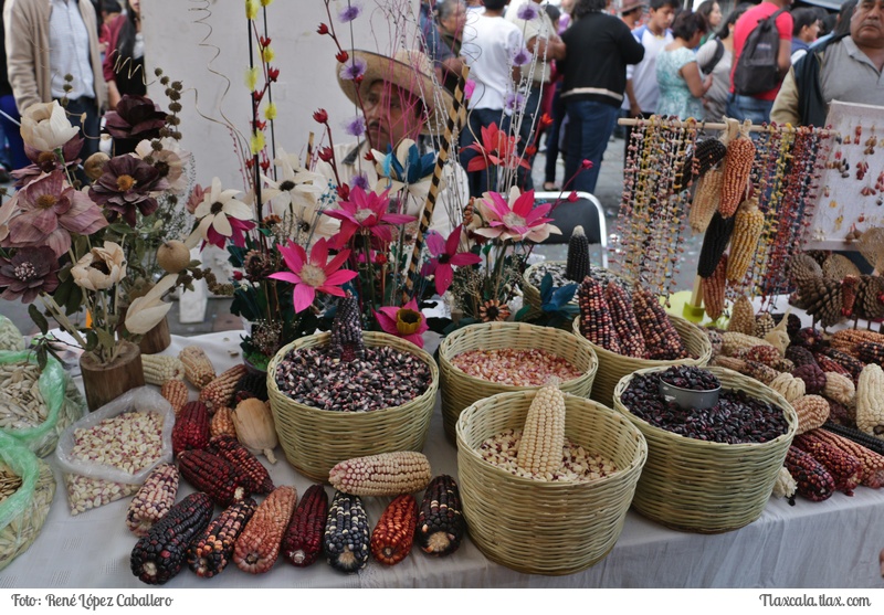 Feria del Taco Amaxac 2017 - Foto