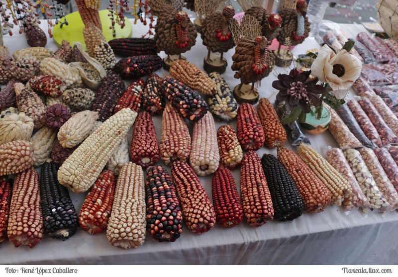 Feria del Taco Amaxac 2017 - Foto