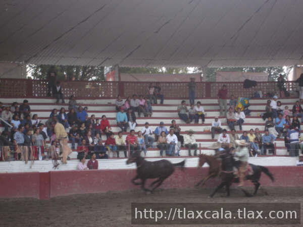 Fiacro bustamante