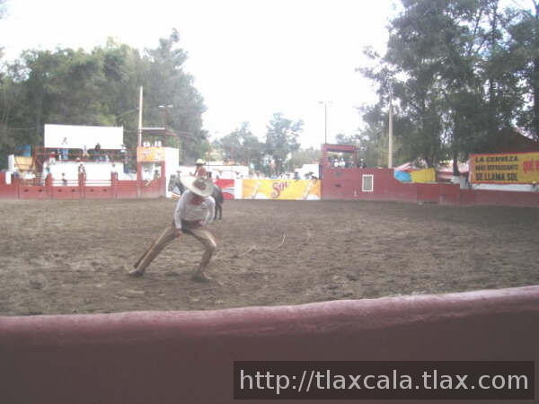 Mangana Chacho