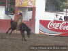 Armando Valdez