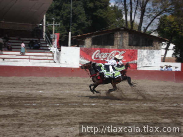 Punta sigue