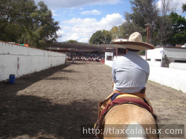 Too galindo cala