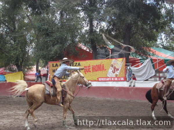 Tono Galindo manda lazo