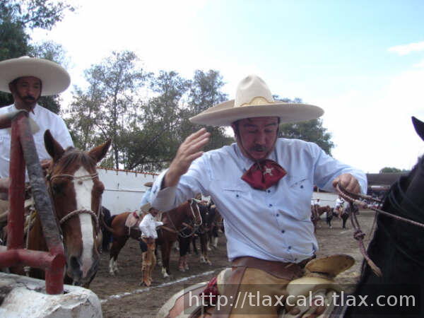 Becerril coleando