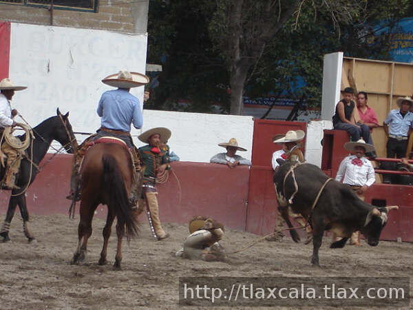 Cae Luis Franquiz