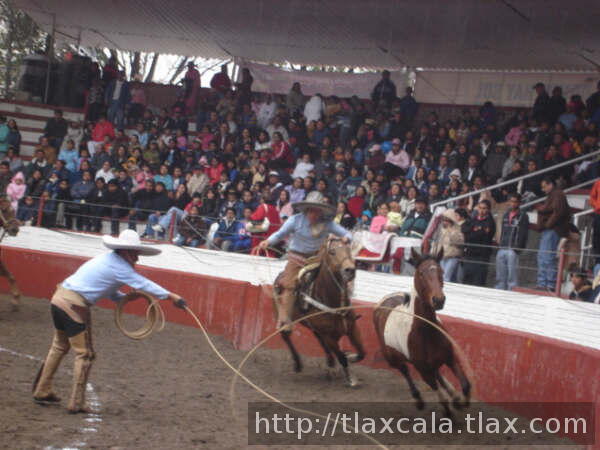 Armando belorte busca