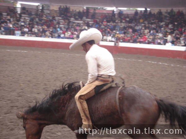 Roberto rodriguez cerca