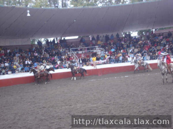 Roberto rodriguez se estampa con la yegua
