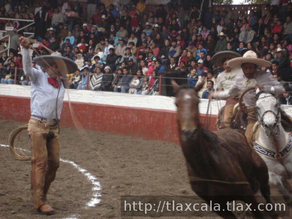 Segunda mangana de jorge franco