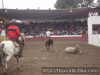 Derribe de octavio