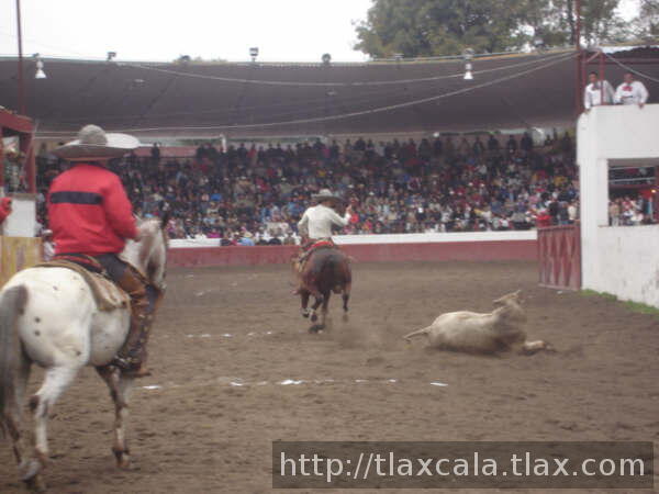Derribe de octavio