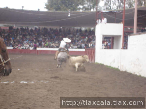 En rique canales