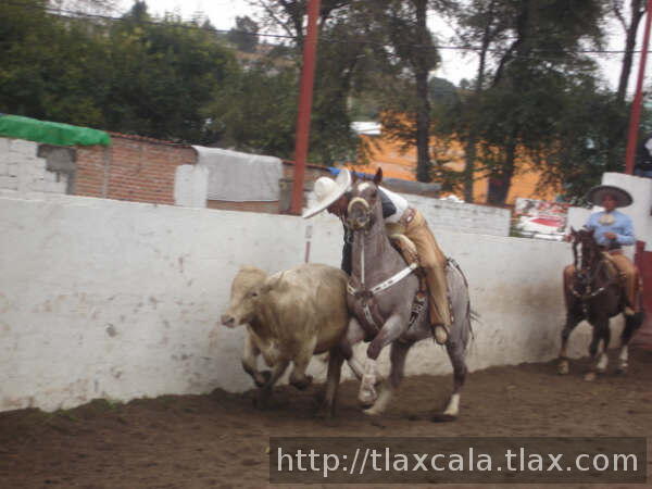 Enrique canales agacha