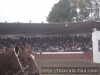 Gradas en coleadero
