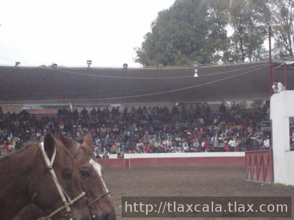 Gradas en coleadero