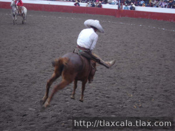 Jineteada miguel jasso