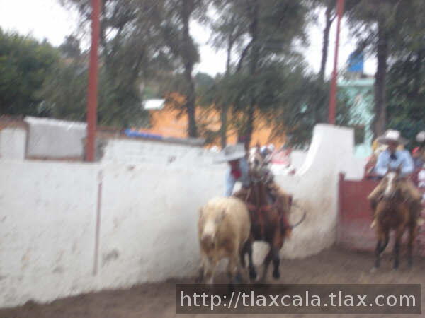 Juan carlos blasco agarra cola