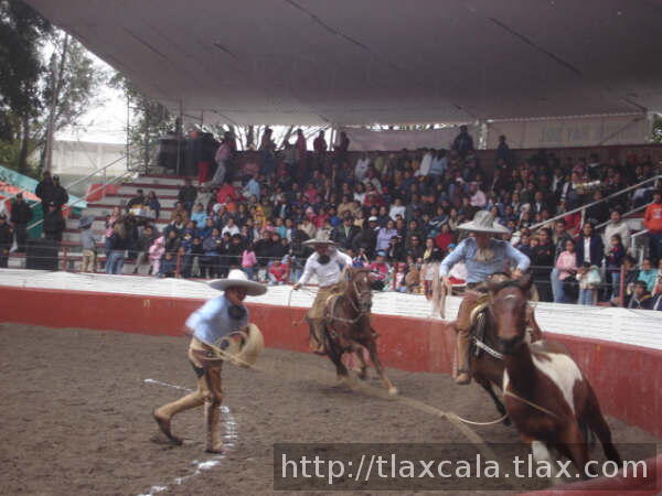 Armando segunda