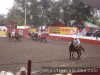 Mario munoz le da caballo