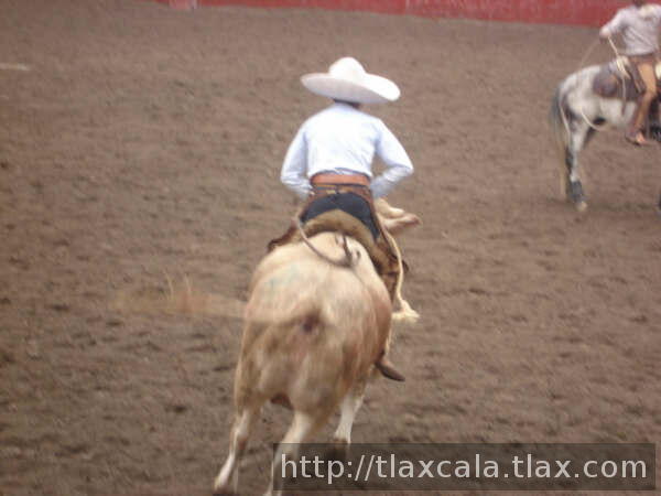 Juan rivera busca