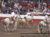 Juan rivera en toro