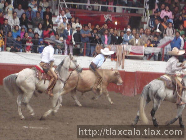 Juan rivera en toro