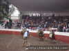 Armando tercera
