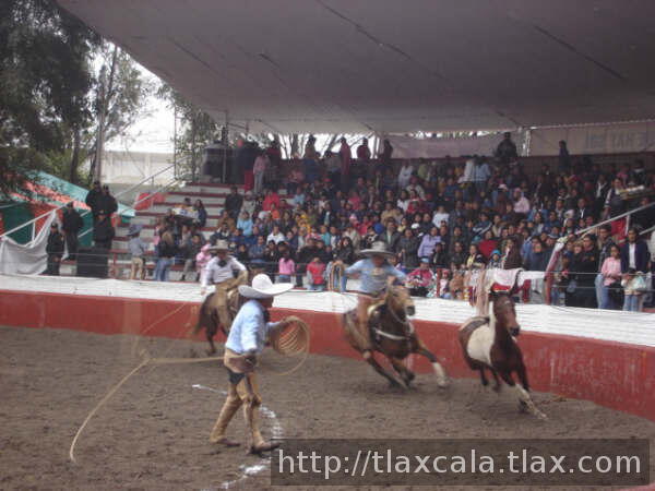 Armando tercera