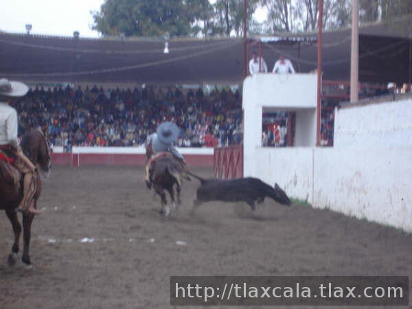 Martin barragan estira