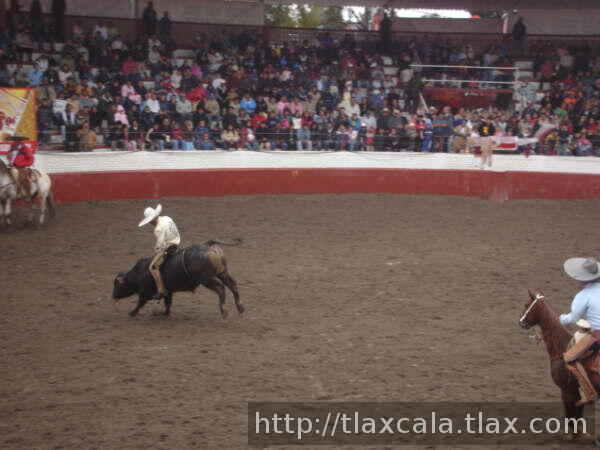 Miguel jasso en toro