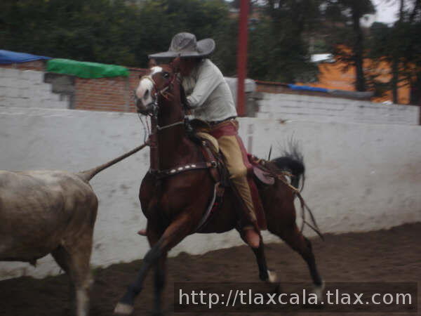 Octavio prepara pata