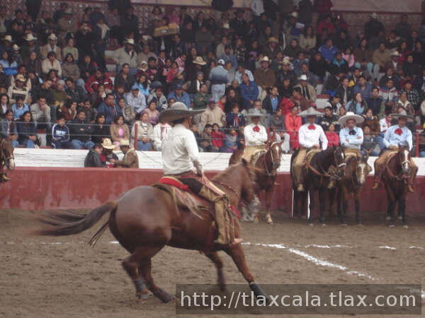Octavio rodriguez gira
