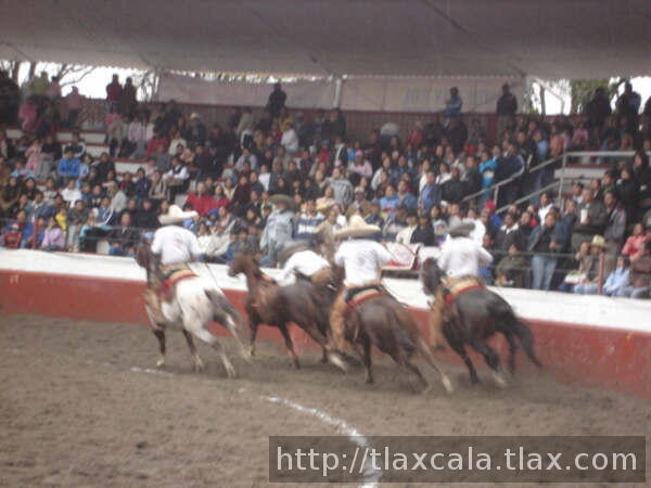 Paso de israel quintanar