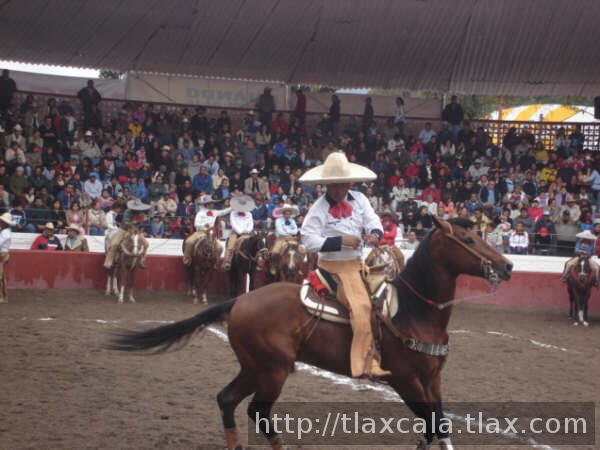 Pedro pacheco girando