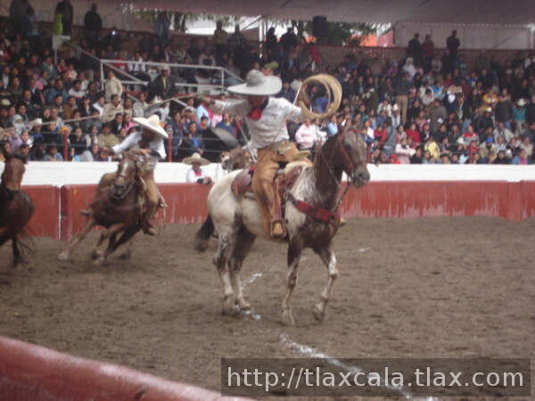 Rigo sosa en manganas a caballo